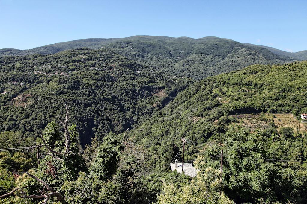 Theta Hotel Pelion Agios Dimitrios  Exterior photo
